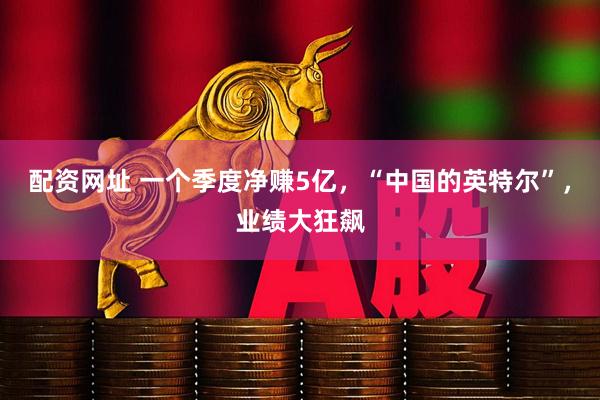 配资网址 一个季度净赚5亿，“中国的英特尔”，业绩大狂飙