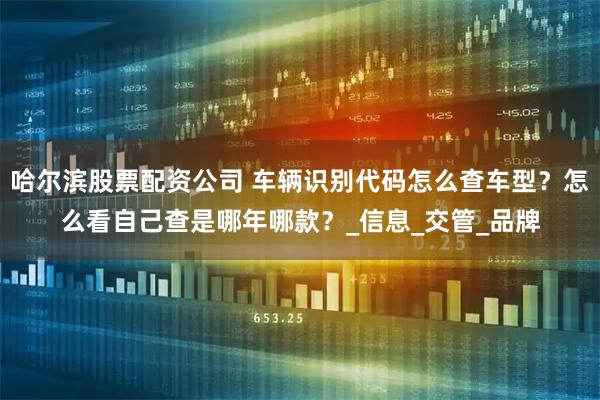 哈尔滨股票配资公司 车辆识别代码怎么查车型？怎么看自己查是哪年哪款？_信息_交管_品牌