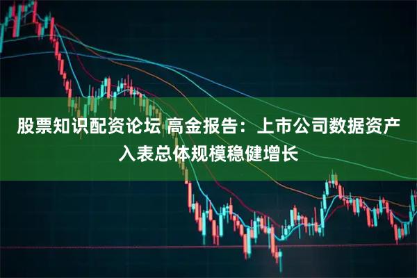 股票知识配资论坛 高金报告：上市公司数据资产入表总体规模稳健增长