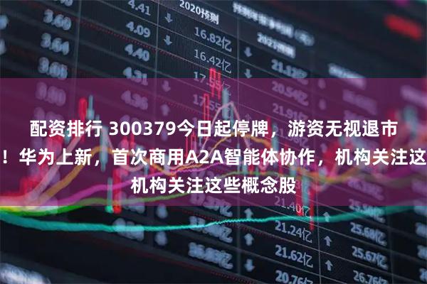 配资排行 300379今日起停牌，游资无视退市风险炒作！华为上新，首次商用A2A智能体协作，机构关注这些概念股
